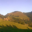 3639876.jpg