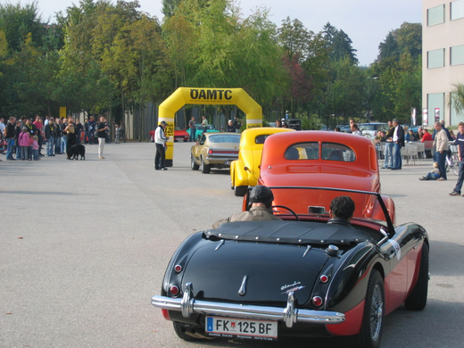 IMG_5435.JPG