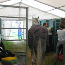 IMG_5258.JPG