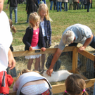 IMG_5964.JPG