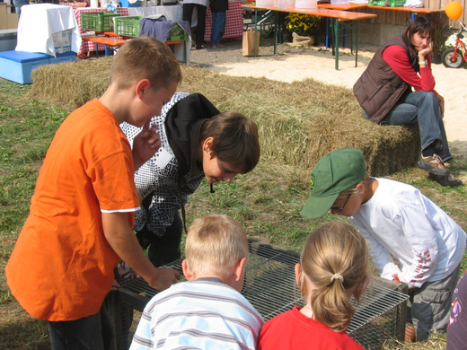 IMG_5971.JPG