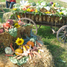 IMG_6045.JPG