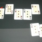 3669419.jpg