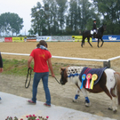 IMG_5172.JPG