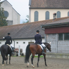 IMG_5168.JPG