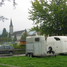 IMG_5251.JPG