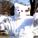 3695272.jpg