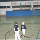 3703422.jpg
