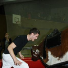 3704354.jpg