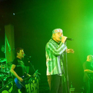 3706431.jpg