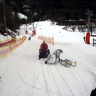 3706485.jpg
