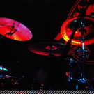 3717491.jpg