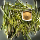 lemongrass.jpg