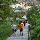 P1040170_JPG-1282134941