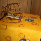IMG_0435_jpg-1282142197