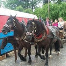 Moewe_Sommerfest_in_Dornbirn