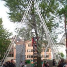169565.jpg