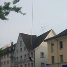 169574.jpg