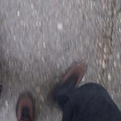 204064.jpg