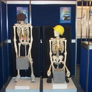 204075.jpg