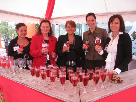 HMP Team Bueroeroeffnung Fest _28_.jpg
