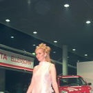 248533.jpg