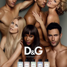 DGfragrance.jpg