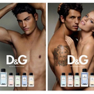 the-dg-fragrance-anthology-1024x380.jpg