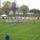 315683.jpg