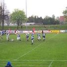 315691.jpg