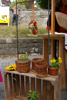 ApoUlrichMarkt 060.jpg