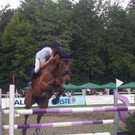 Internationales Reitturnier beim Reitplatz Birkenwiese an der Furt