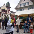 411689.jpg