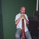 431028.jpg