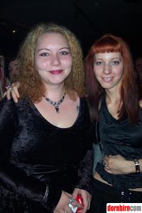 431571.jpg
