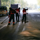 28092009lkwff_16.jpg