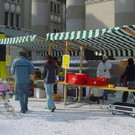 491528.jpg