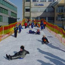 491543.jpg