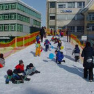 491544.jpg