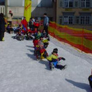 491556.jpg