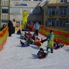 491557.jpg