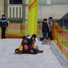 491559.jpg