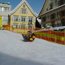 491575.jpg