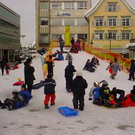 491581.jpg