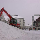 491586.jpg