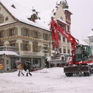 491588.jpg