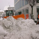 491590.jpg