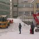 491594.jpg