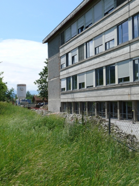 P1050441.JPG