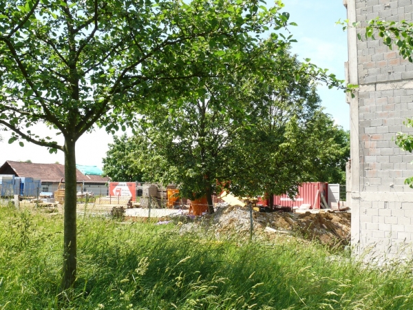P1050442.JPG